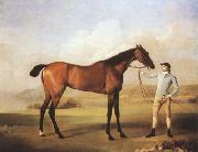 STUBBS, George Molly Longlegs with Jockey (mk08) oil painting artist